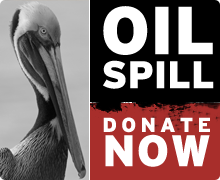 oil spill donate now