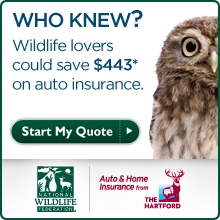 Start your insurance quote today!