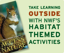 Take learning outside with NWF's habitat themed activities