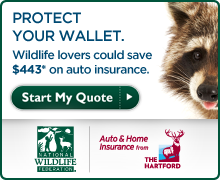 Start your insurance quote today!