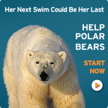 Donate today!