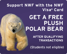 Support NWF with the NWF Visa card