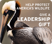 Give a Leadership Gift today!