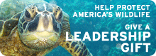Give a Leadership Gift today!