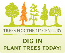 Plant trees today!
