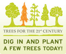 Plant trees today!