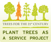Plant trees today!