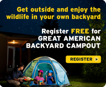 Register for the Great American Backyard Campout today!