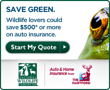 Start your insurance quote today!
