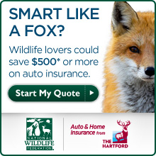 Start your insurance quote today!