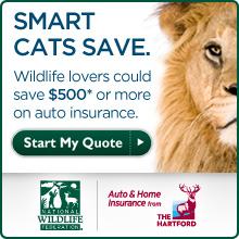 Start your insurance quote today!