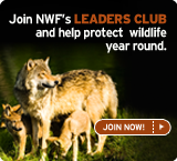Join NWF's leaders club today!