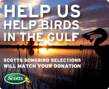 Scotts Songbird Solutions will match your donation!