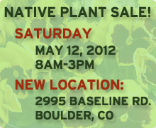 Rocky Mountain plant sale