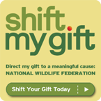 Shift your gift today!