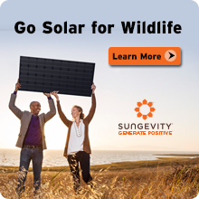 Go solar for wildlife today!