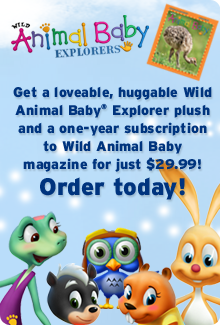 Get a lovable, huggable Wild Animal Baby plush and Wild Animal Baby magazine! Order today!