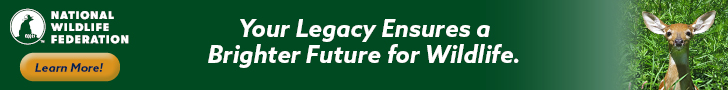Subcribe to National Wildlife Magazine