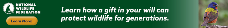 Subcribe to National Wildlife Magazine