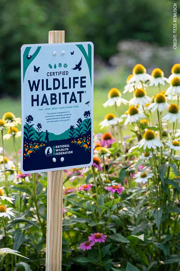 Certified Wildlife Habitat Classic Sign mounted on post in garden
