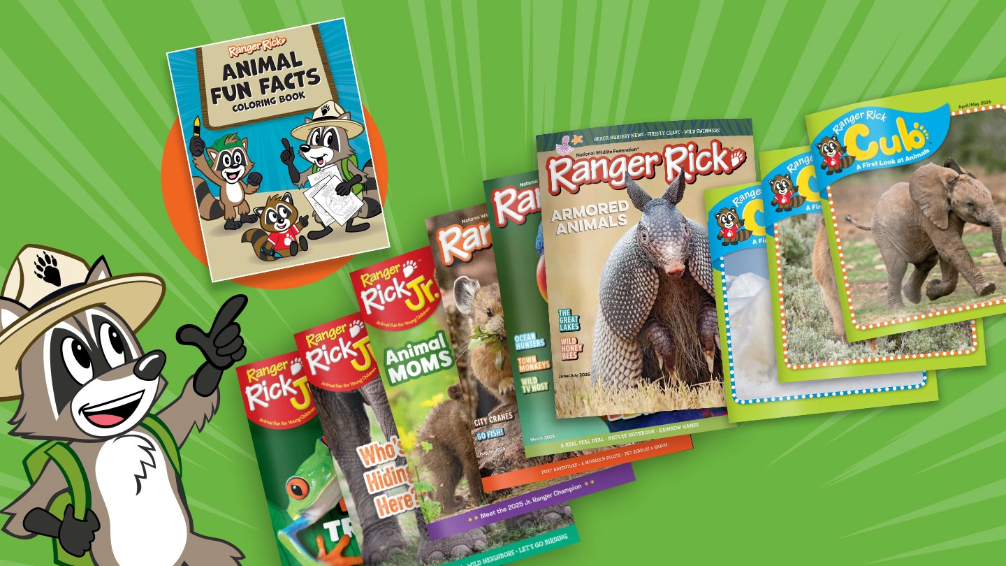 Ranger Rick, Ranger Rick Jr., and Ranger Rick Cub magazines with Animal Fun Facts Coloring Book
