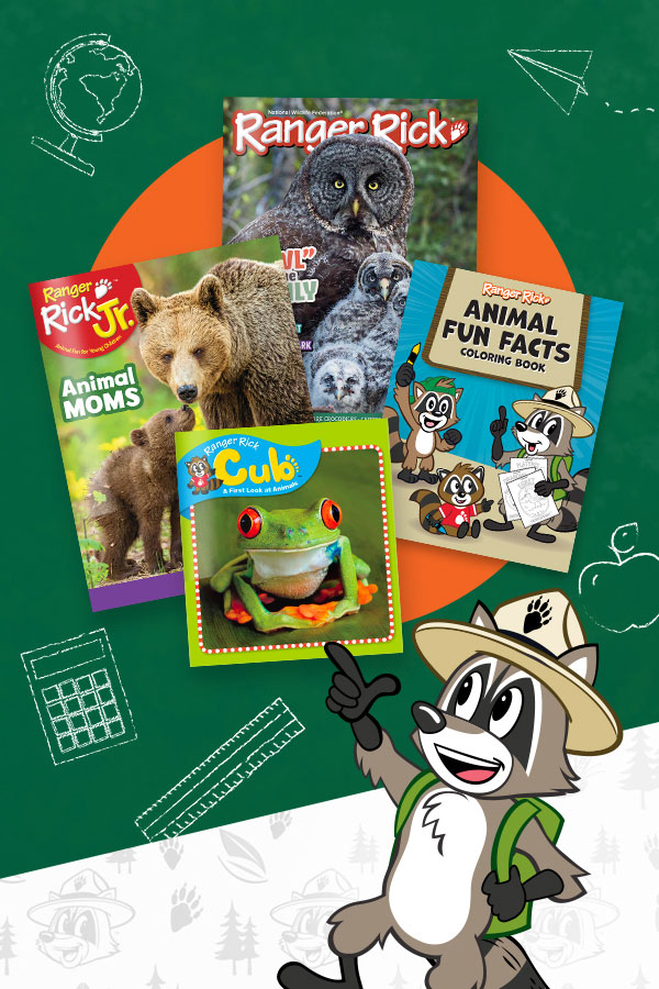 Ranger Rick magazine covers next to Ranger Rick with school themed icons in background