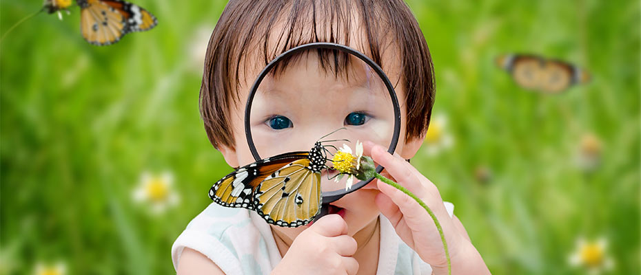 Education Programs | National Wildlife Federation - Vimarsana News