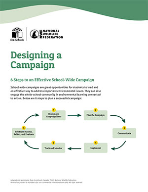 Designing a Campaign: 6 Steps to an Effective School-Wide Campaign