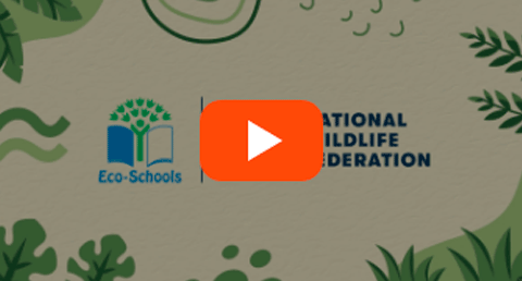 Eco-Schools video screen capture with video play button