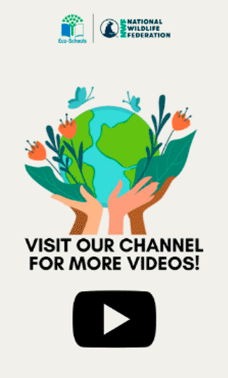 Visit Our Channel for More Videos