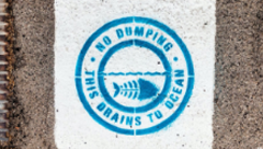 Spray painted image of fish with the message No Dumping, This Drains to Ocean