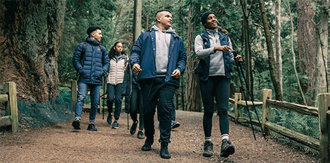 People hiking along wooded trail