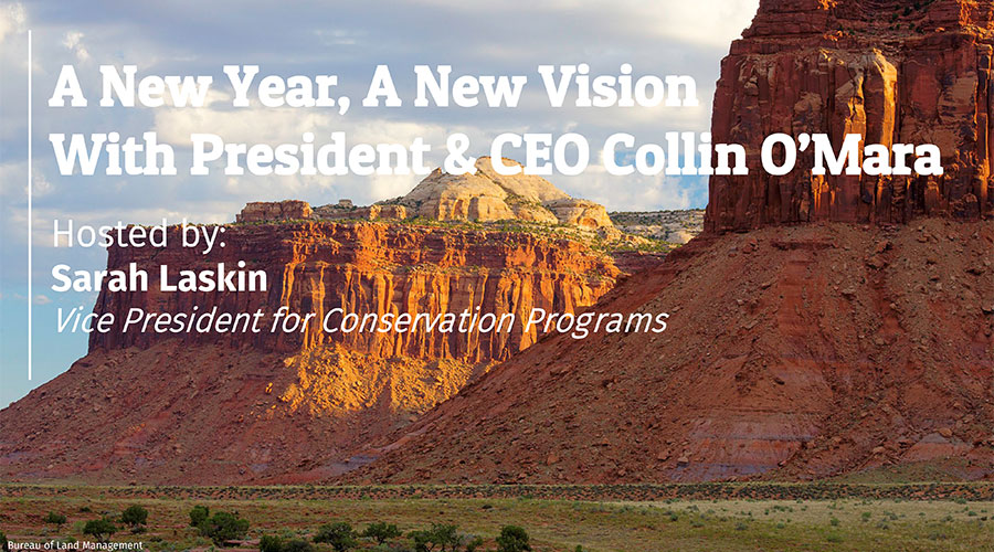 A New Year, A New Vision with President & CEO Collin O’Mara 