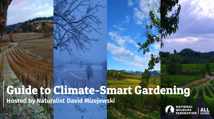 Guide to Climate-Smart Gardening hosted by Naturalist David Mizejewski
