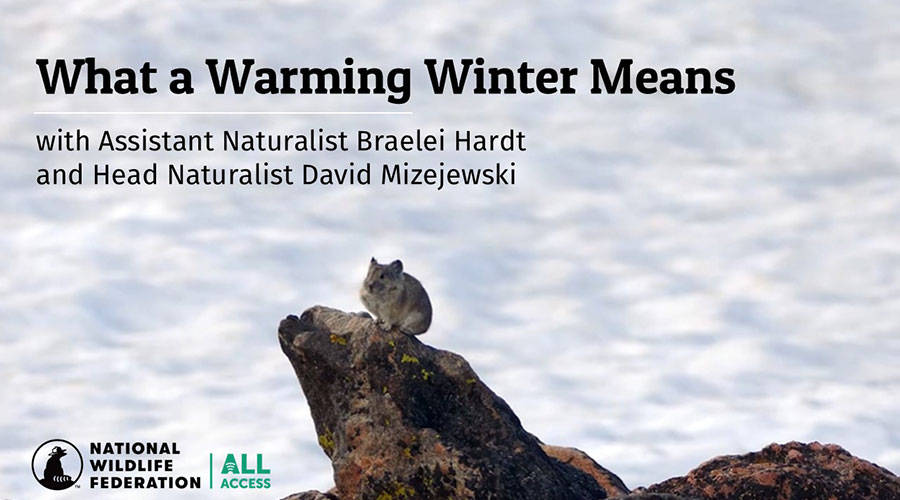 What a Warming Winter Means with Assistant Naturalist Braelei Hardt and Head Naturalist David Mizejewski