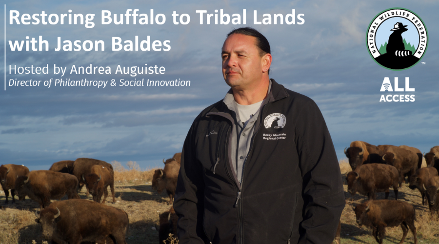 All Access June 2022