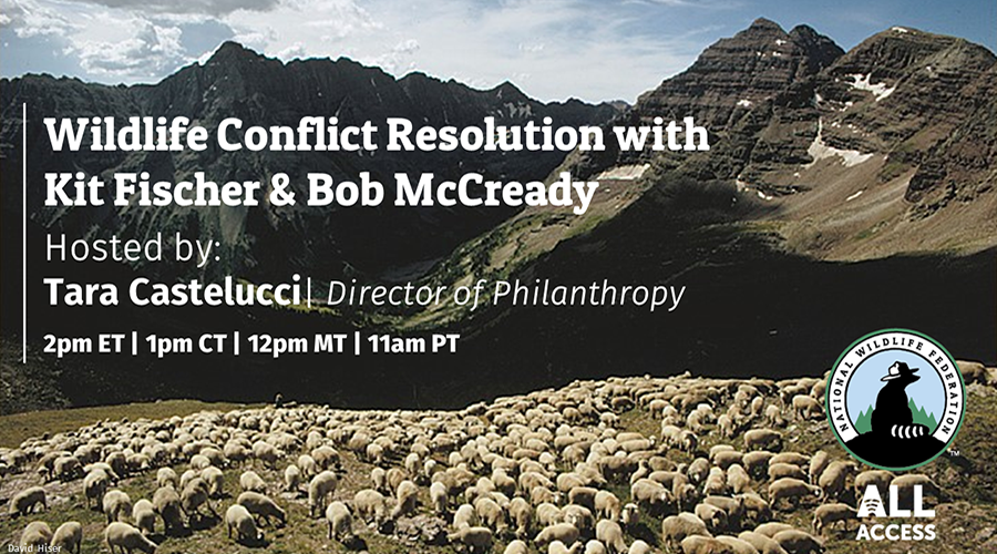 All Access: Wildlife Conflict Resolution with Kit Fischer and Bob McCready