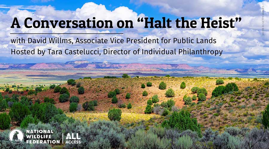 A Conversation on "Halt the Heist" with David Willms, Associate Vice President for Public Lands; Hosted by Tara Castelucci, Director of Individual Philanthropy