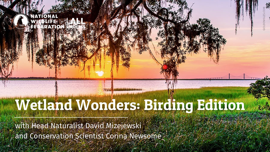 Wetland Wonders: Birding Edition with Head Naturalist David Mizejewski and Conservation Scientist Corina Newsome