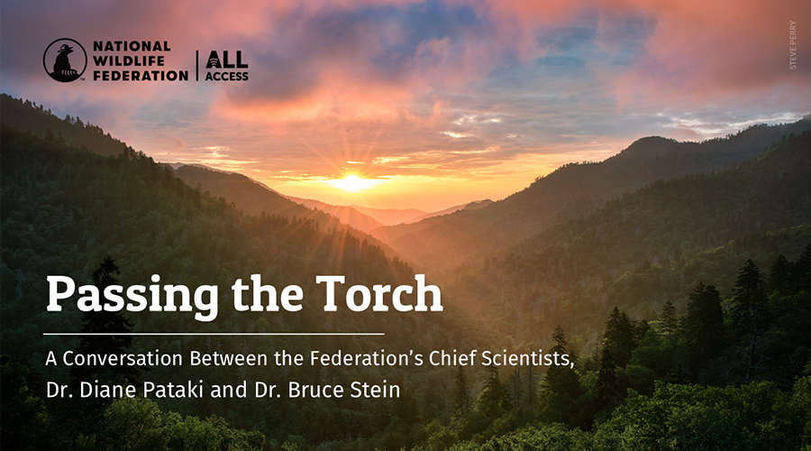 Passing the Torch: A Conversation Between the Federation's Chief Scientists, Dr. Diane Pataki and Dr. Bruce Stein