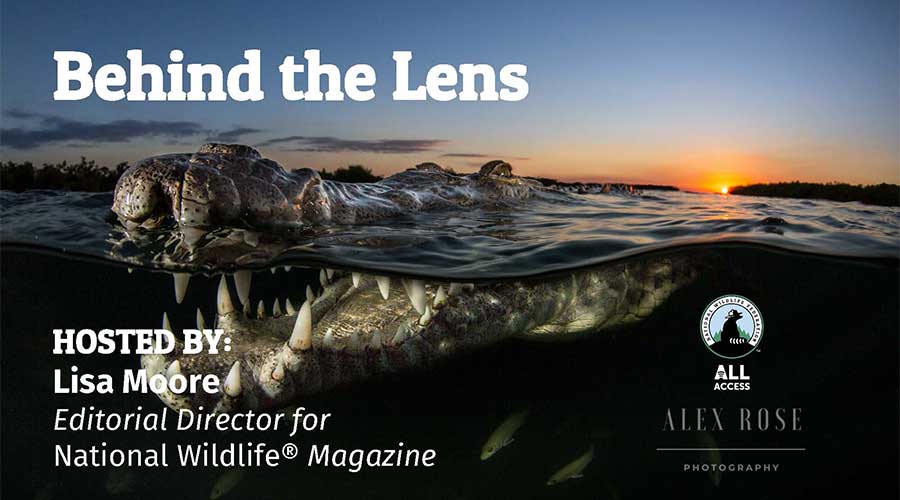 Behind the Lens - hosted by Lisa Moore, Editorial Director for National Wildlife Magazine