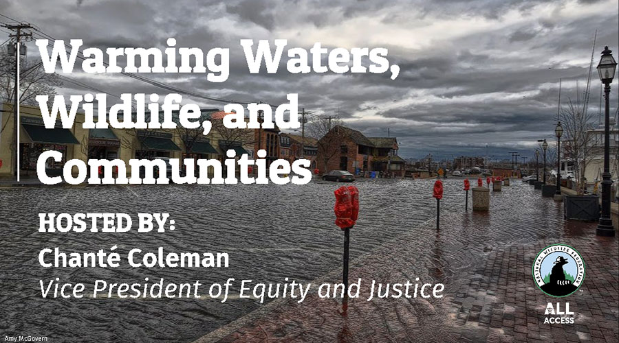 Warming Waters, Wildlife, and Communities