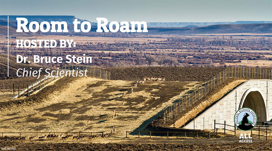 Room to Roam - hosted by Dr. Bruce Stein, Chief Scientist