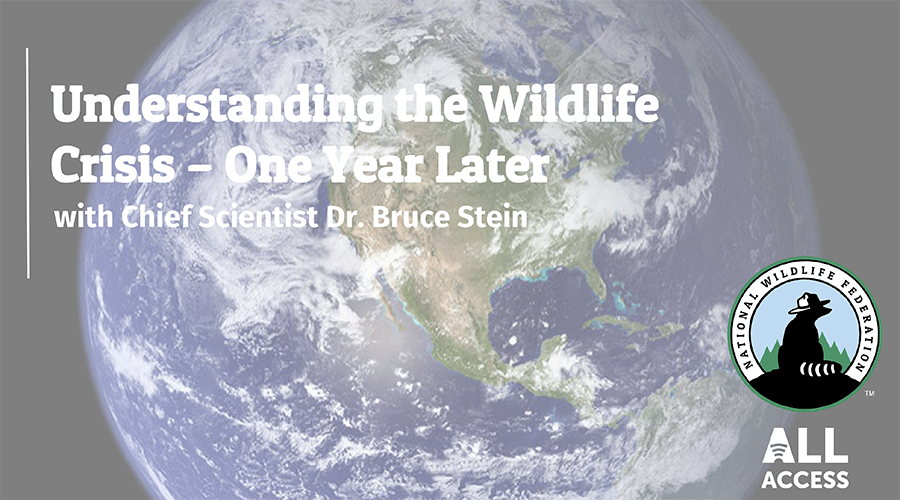 Understanding the Wildlife Crisis - One Year Later