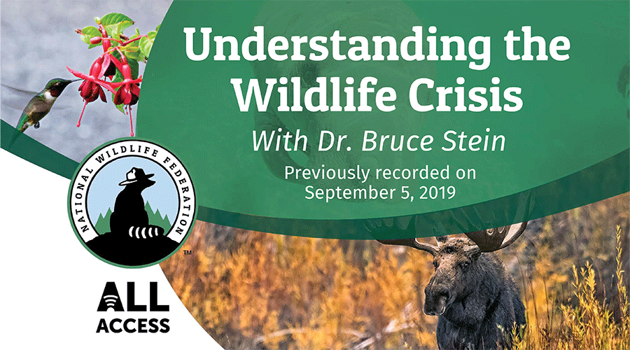 Understanding the Wildlife Crisis