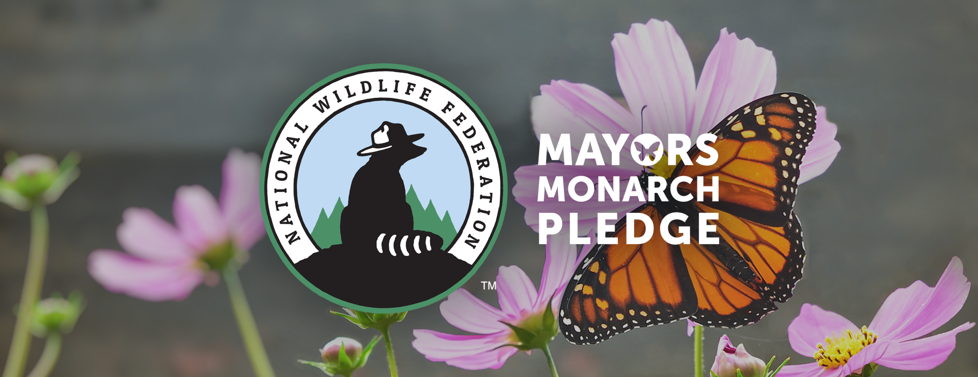 Engage Your Mayor - Vimarsana News