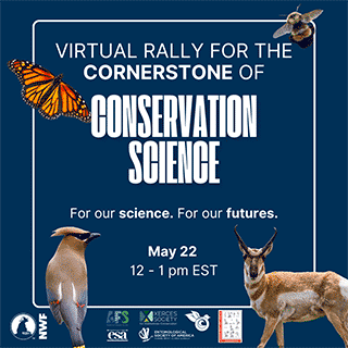 Virtual Rally for the Cornerstone of Conservation Science