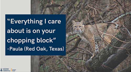 "Everything I care about is on your chopping block." - Paula (Red Oak, Texas)