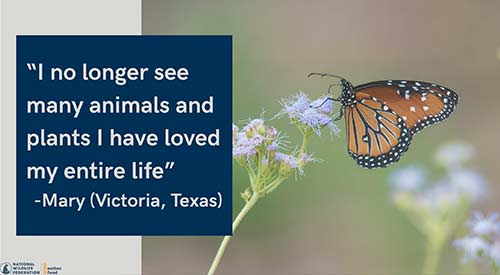 "I no longer see many animals and plants I have loved my entire life." - Mary (Victoria, Texas)