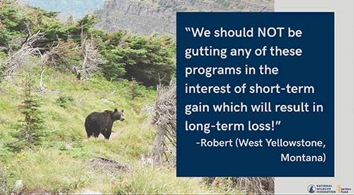 "We should NOT be gutting any of these programs in the interest of short-term gain which will result in long-term loss!" - Robert (West Yellowstone, Montana)